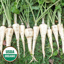 Load image into Gallery viewer, Root Vegetable Seeds