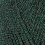 Load image into Gallery viewer, Encore - Worsted Weight