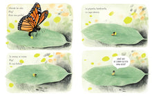 Load image into Gallery viewer, La monarca (The Monarch) by Kirsten Hall