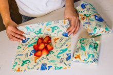 Load image into Gallery viewer, Lunch 3 Pack - Under The Sea Print