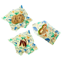 Load image into Gallery viewer, Lunch 3 Pack - Under The Sea Print