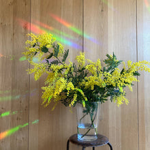 Load image into Gallery viewer, Rainbow Maker Sticker – You Are The Sunshine