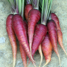 Load image into Gallery viewer, Root Vegetable Seeds
