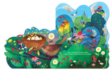 Load image into Gallery viewer, Birdsong