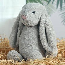 Load image into Gallery viewer, Bunny Plush