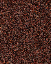 Load image into Gallery viewer, Bindu Black Mustard - Diaspora Co