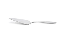 Load image into Gallery viewer, Stainless Steel Pie and Cake Server