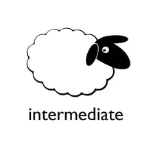 Load image into Gallery viewer, Chickens Felting Kit