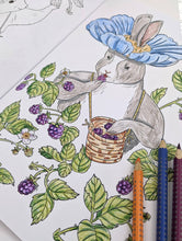 Load image into Gallery viewer, The Good Tree Neighbors Coloring Book