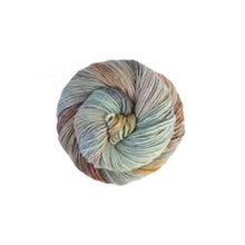 Load image into Gallery viewer, Malabrigo Worsted