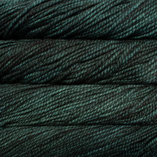 Load image into Gallery viewer, Malabrigo Vientos