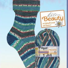 Load image into Gallery viewer, Opal Yarn - 4 Ply Sock Yarn