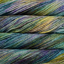 Load image into Gallery viewer, Malabrigo Vientos