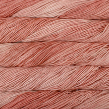 Load image into Gallery viewer, Malabrigo Rios