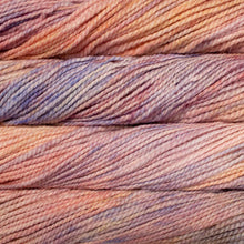 Load image into Gallery viewer, Malabrigo Vientos