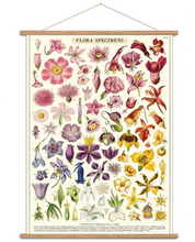 Load image into Gallery viewer, Vintage Poster Kits