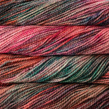 Load image into Gallery viewer, Malabrigo Vientos