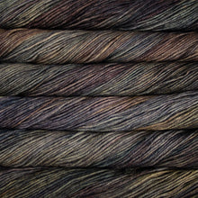 Load image into Gallery viewer, Malabrigo Arroyo
