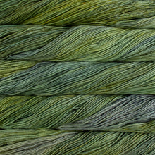 Load image into Gallery viewer, Malabrigo Arroyo