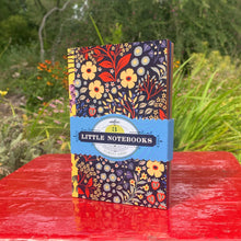 Load image into Gallery viewer, Shelley's Little Book Set