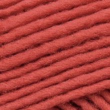 Load image into Gallery viewer, Brown Sheep - Lanaloft Sport Weight