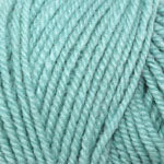 Load image into Gallery viewer, Encore Worsted