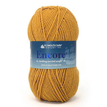 Load image into Gallery viewer, Encore - Worsted Weight