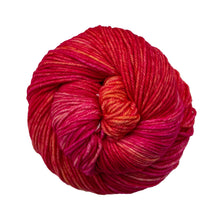 Load image into Gallery viewer, Malabrigo Rios