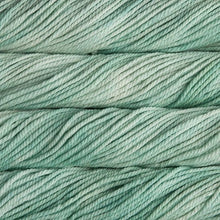 Load image into Gallery viewer, Malabrigo Worsted