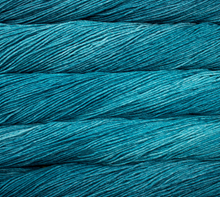 Load image into Gallery viewer, Malabrigo Rios