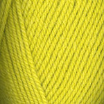Load image into Gallery viewer, Encore - Worsted Weight