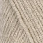 Load image into Gallery viewer, Encore - Worsted Weight