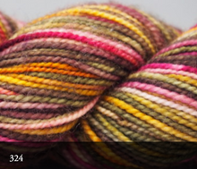 Load image into Gallery viewer, Koigu Yarn - KPPPM