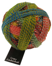 Load image into Gallery viewer, Zauberball - Crazy
