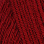 Load image into Gallery viewer, Encore - Worsted Weight