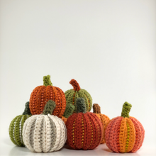 Load image into Gallery viewer, One-of-a-Kind Hand Crocheted Pumpkins