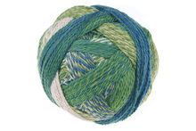 Load image into Gallery viewer, Zauberball - Starke 6 by Schoppel Wolle
