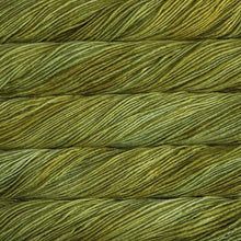 Load image into Gallery viewer, Malabrigo Worsted
