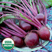 Load image into Gallery viewer, Root Vegetable Seeds