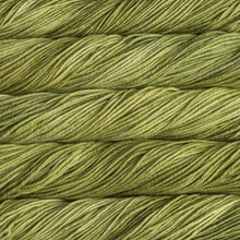 Load image into Gallery viewer, Malabrigo Rios