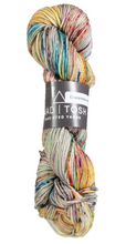 Load image into Gallery viewer, Madelinetosh Yarn- Tosh DK