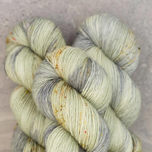 Load image into Gallery viewer, Madelinetosh Yarn - Tosh Merino Light