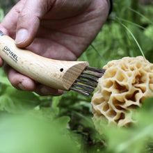 Load image into Gallery viewer, Opinel No.08 Mushroom Knife
