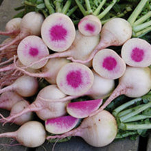 Load image into Gallery viewer, Root Vegetable Seeds