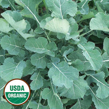 Load image into Gallery viewer, Leafy Greens Seeds