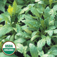 Load image into Gallery viewer, Lettuce & Arugula Seeds
