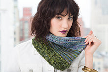 Load image into Gallery viewer, Pier 63 Pattern Malabrigo
