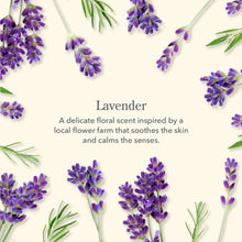 Load image into Gallery viewer, Beekman 1802 - Lavender Bodycare Gift Set
