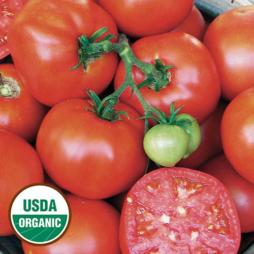 tomato plant seeds for sale Tomato Seeds – At Home Store Fairfield