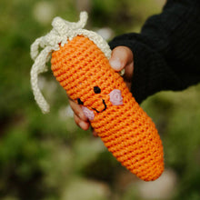 Load image into Gallery viewer, Pretend Play Food Rattle - Carrot
